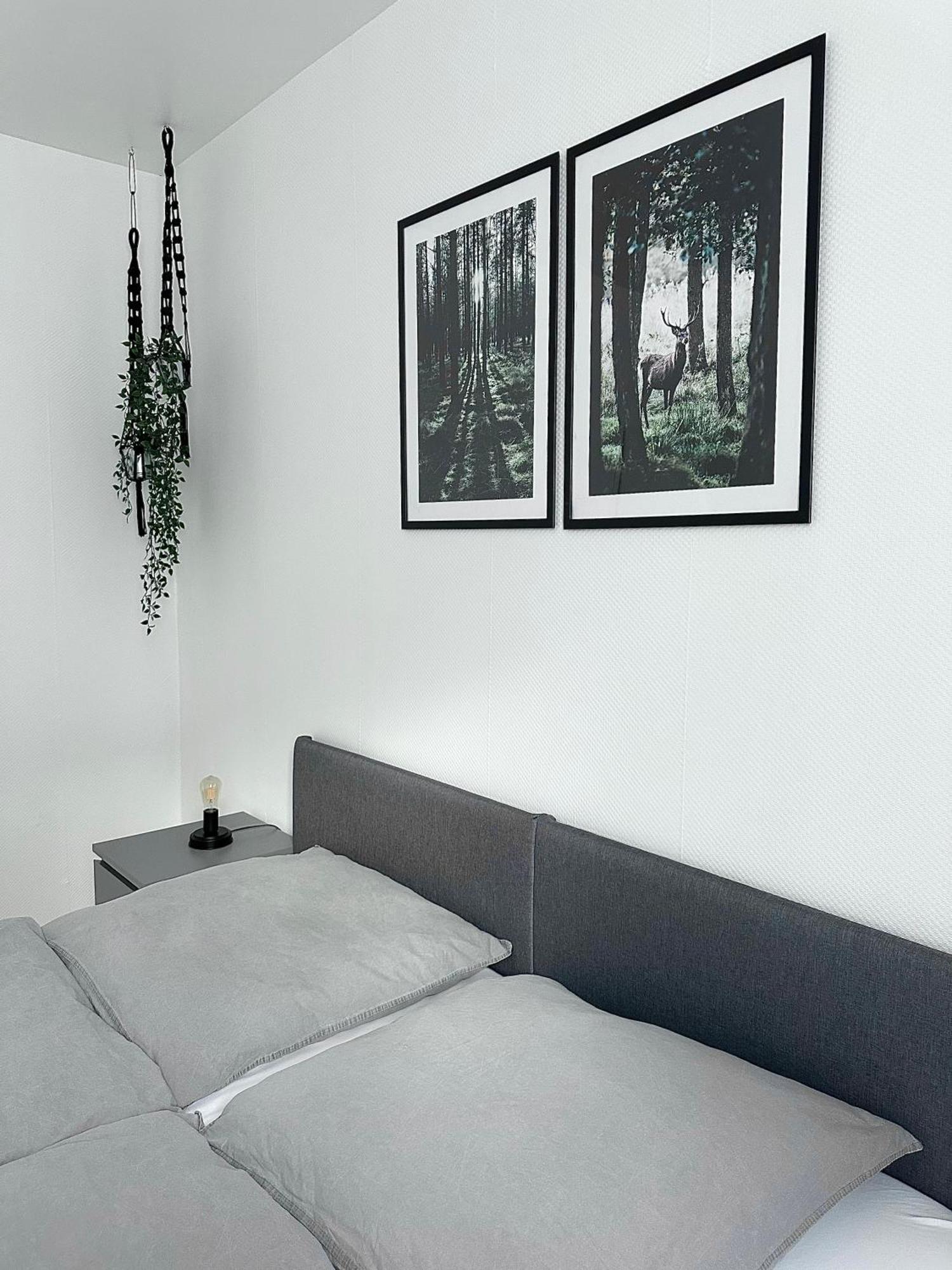 Ferienwohnung Harz Hexe 韦尼格罗德 外观 照片